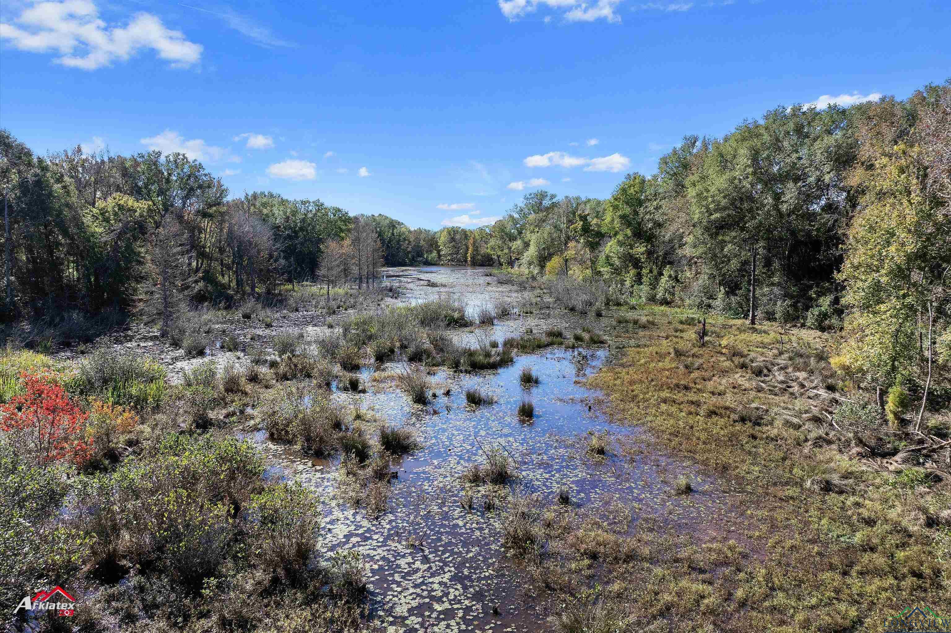 126.34 AC Cr 426, Henderson, Texas image 17