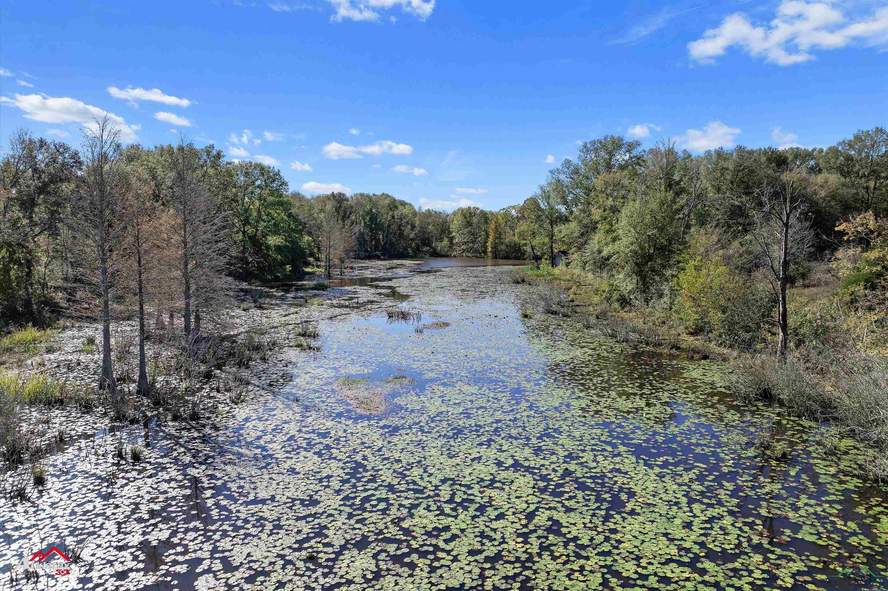 126.34 AC Cr 426, Henderson, Texas image 18