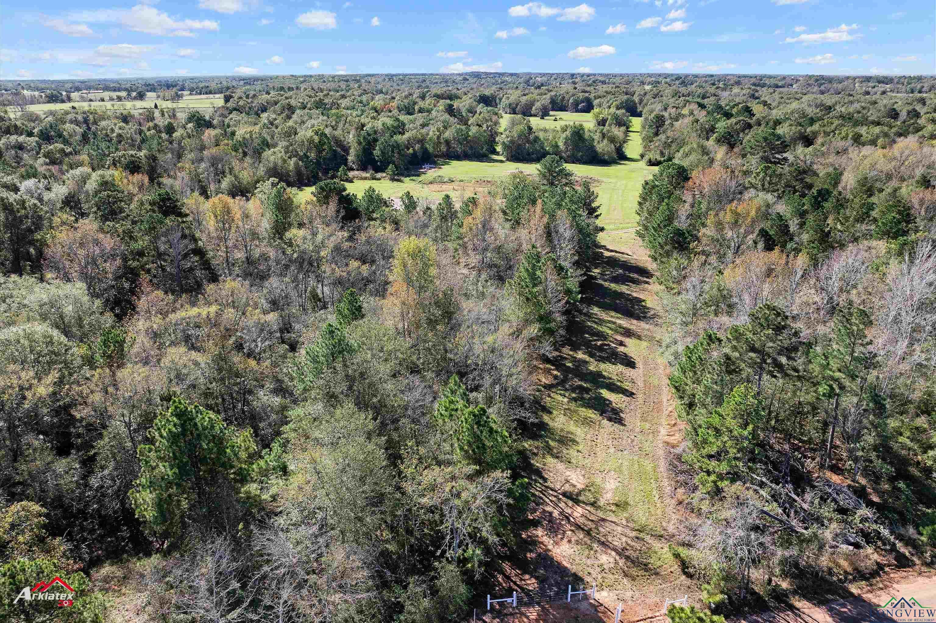 126.34 AC Cr 426, Henderson, Texas image 9