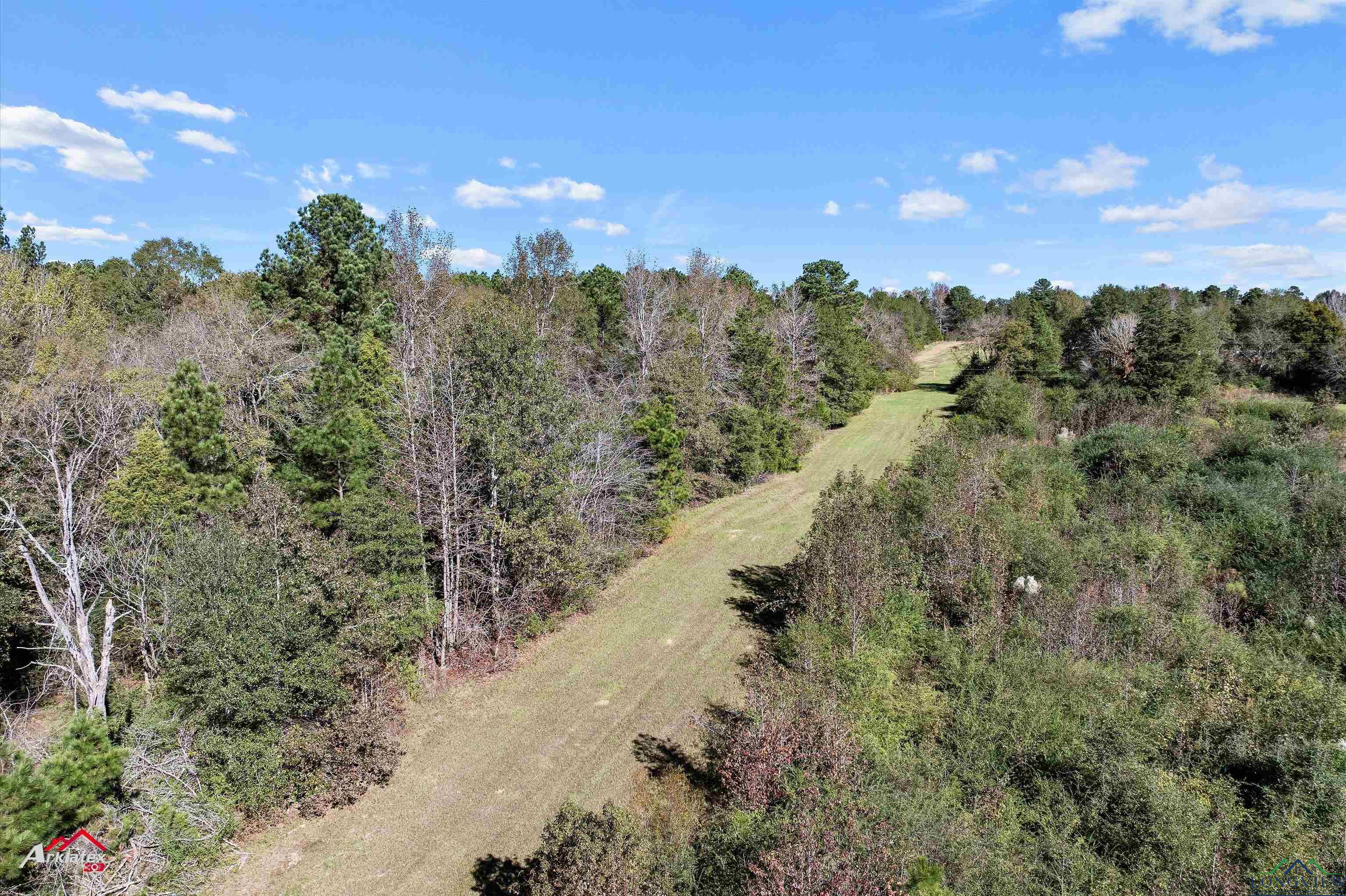 126.34 AC Cr 426, Henderson, Texas image 13