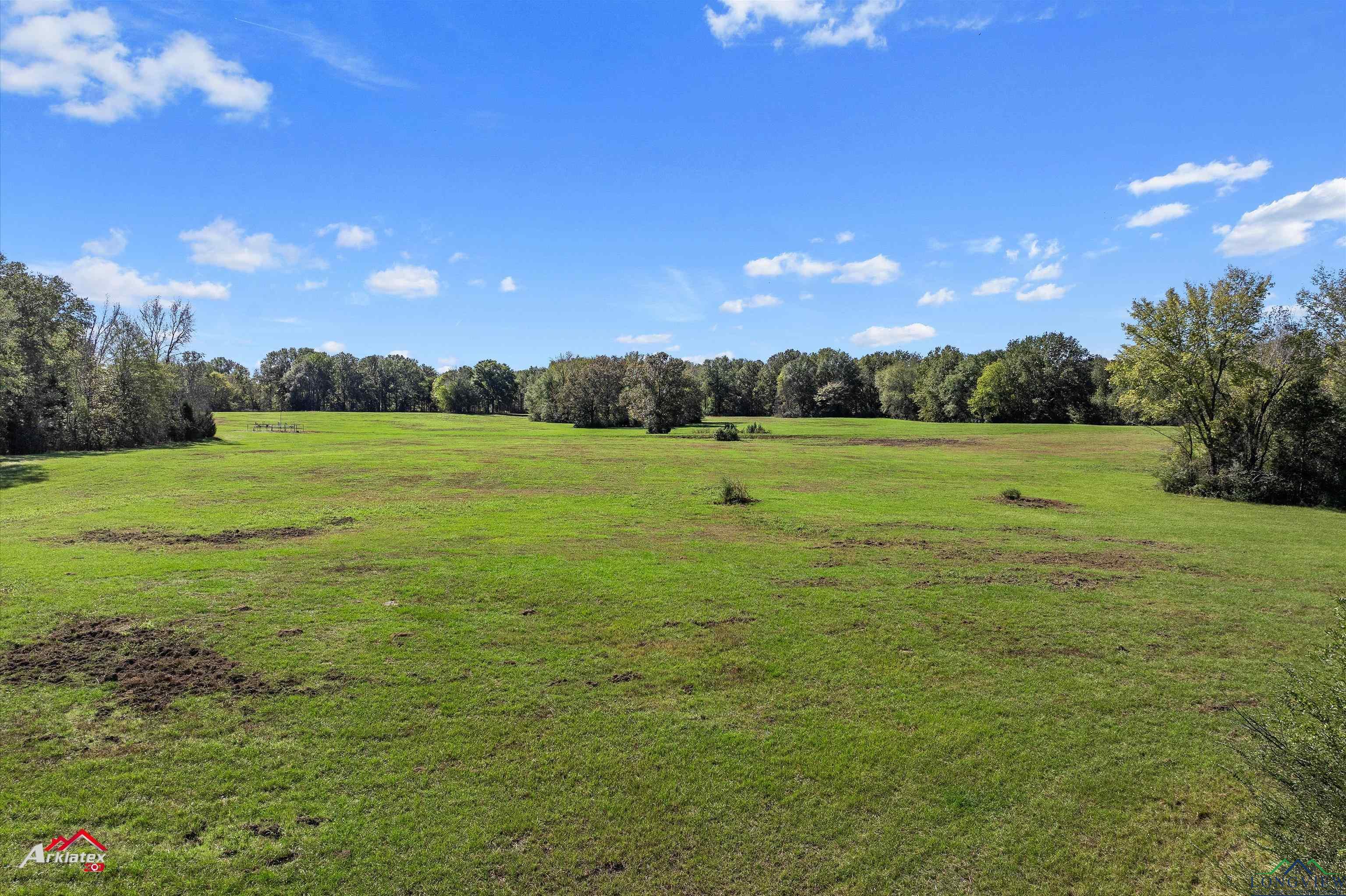 126.34 AC Cr 426, Henderson, Texas image 2