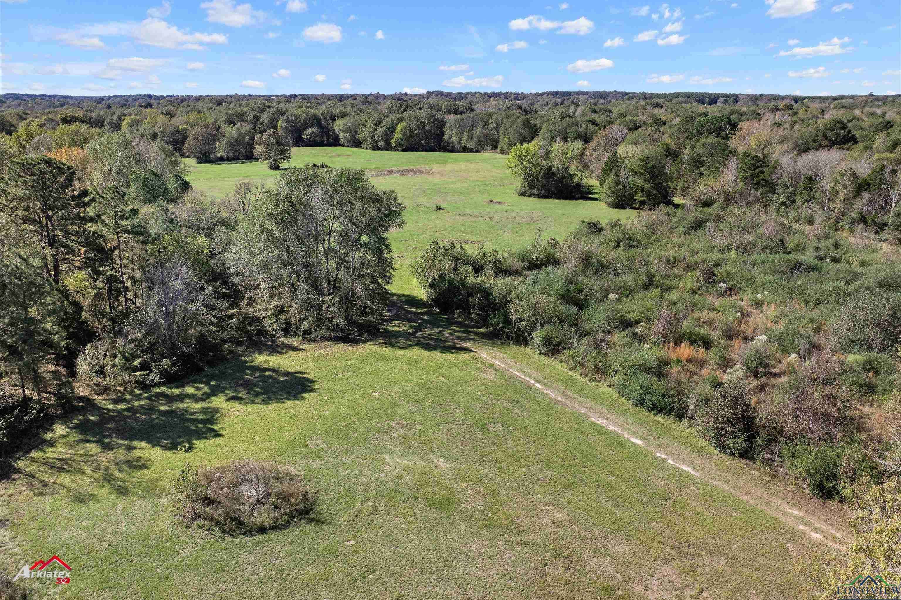 126.34 AC Cr 426, Henderson, Texas image 11