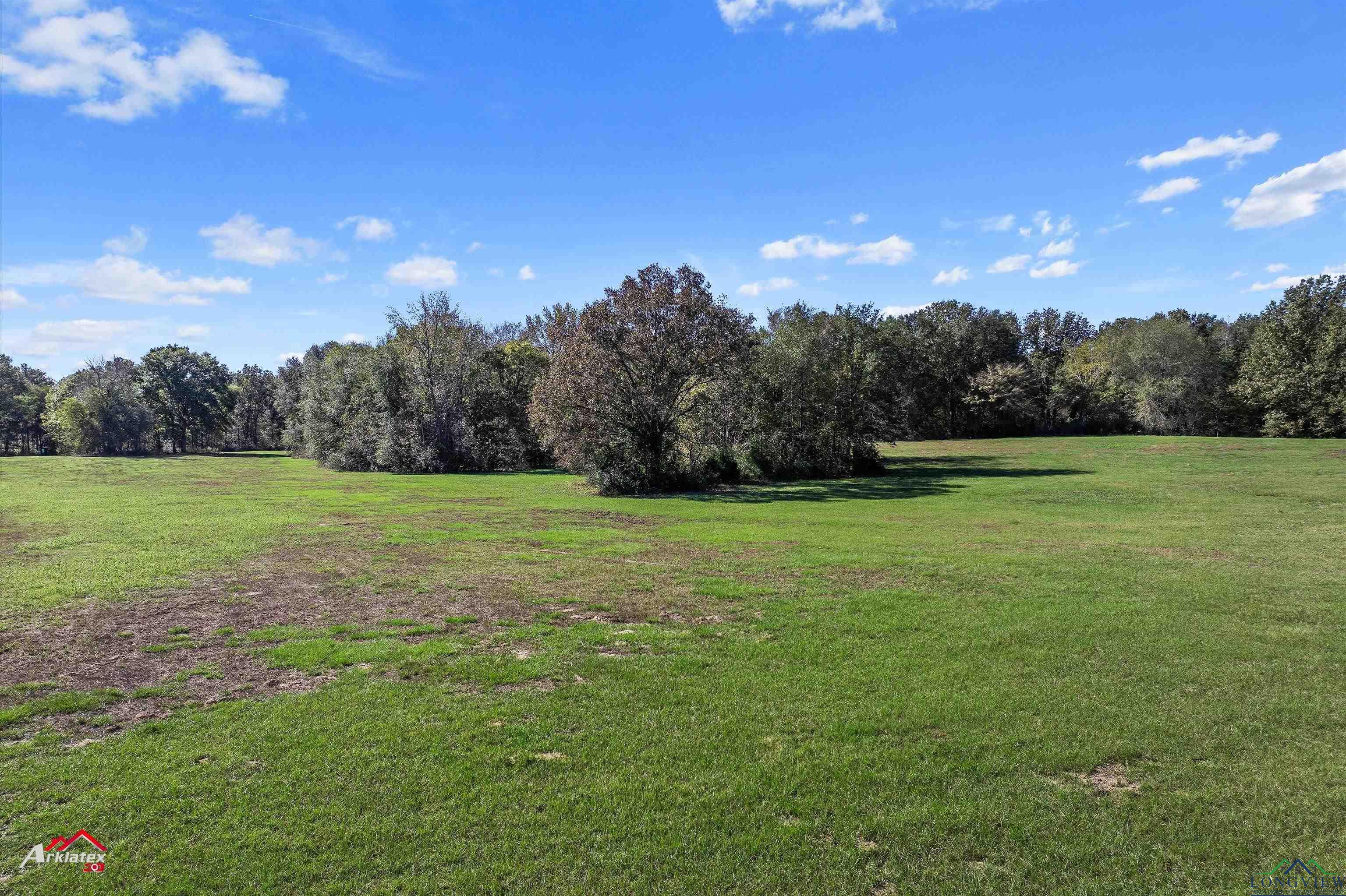 126.34 AC Cr 426, Henderson, Texas image 3