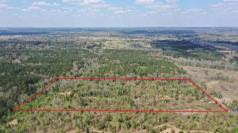 Vacant Land For Sale - 0001N County Road 1463<br/> Linden, TX 75563