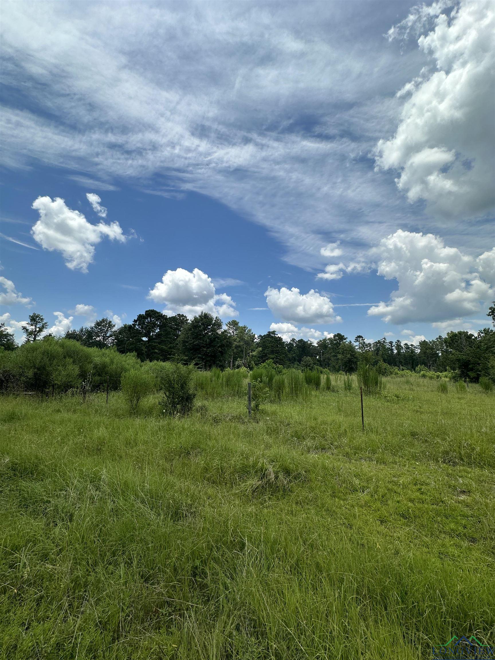 TBD Us Hwy 59, Marshall, Texas image 3