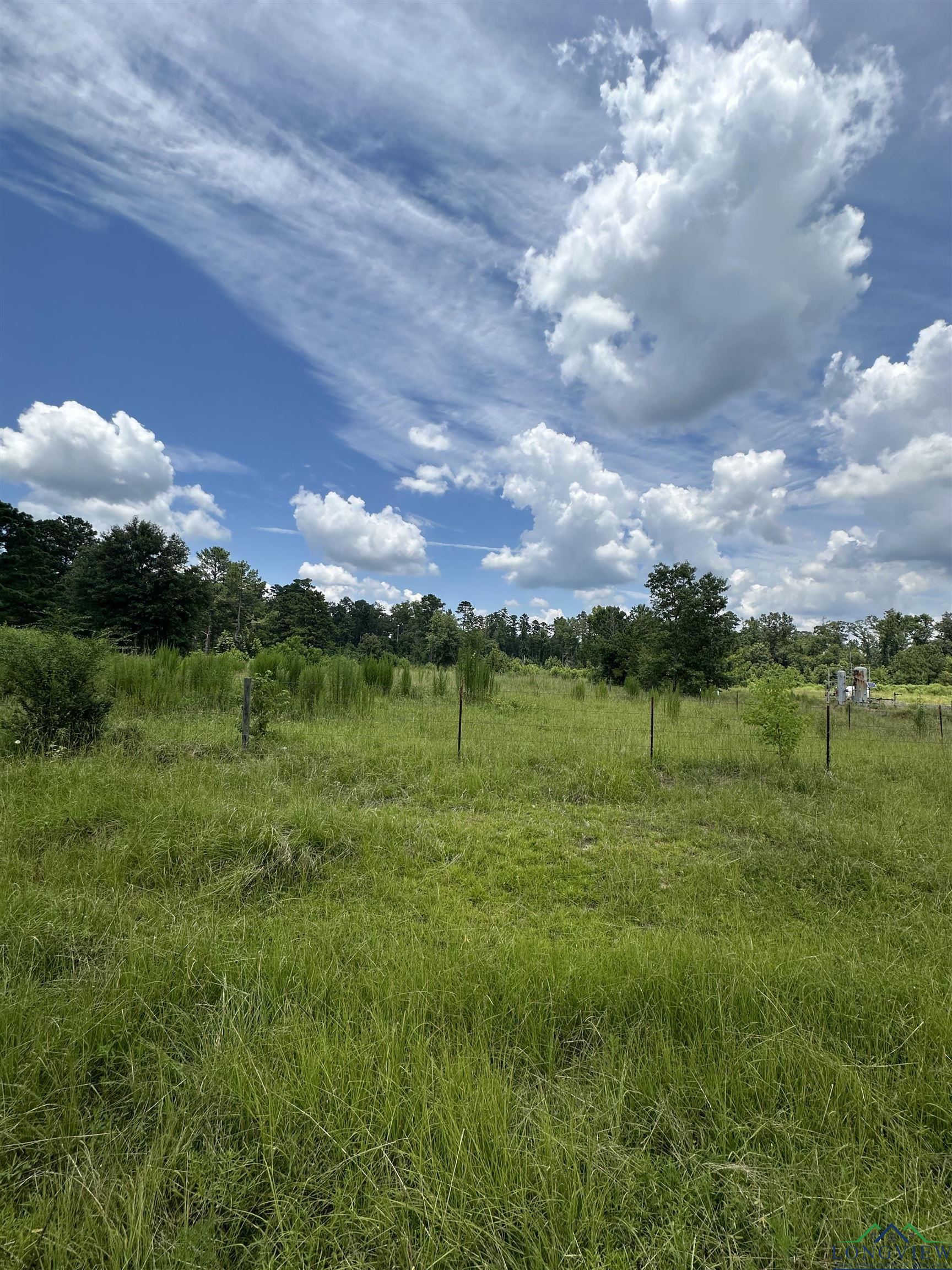 TBD Us Hwy 59, Marshall, Texas image 4