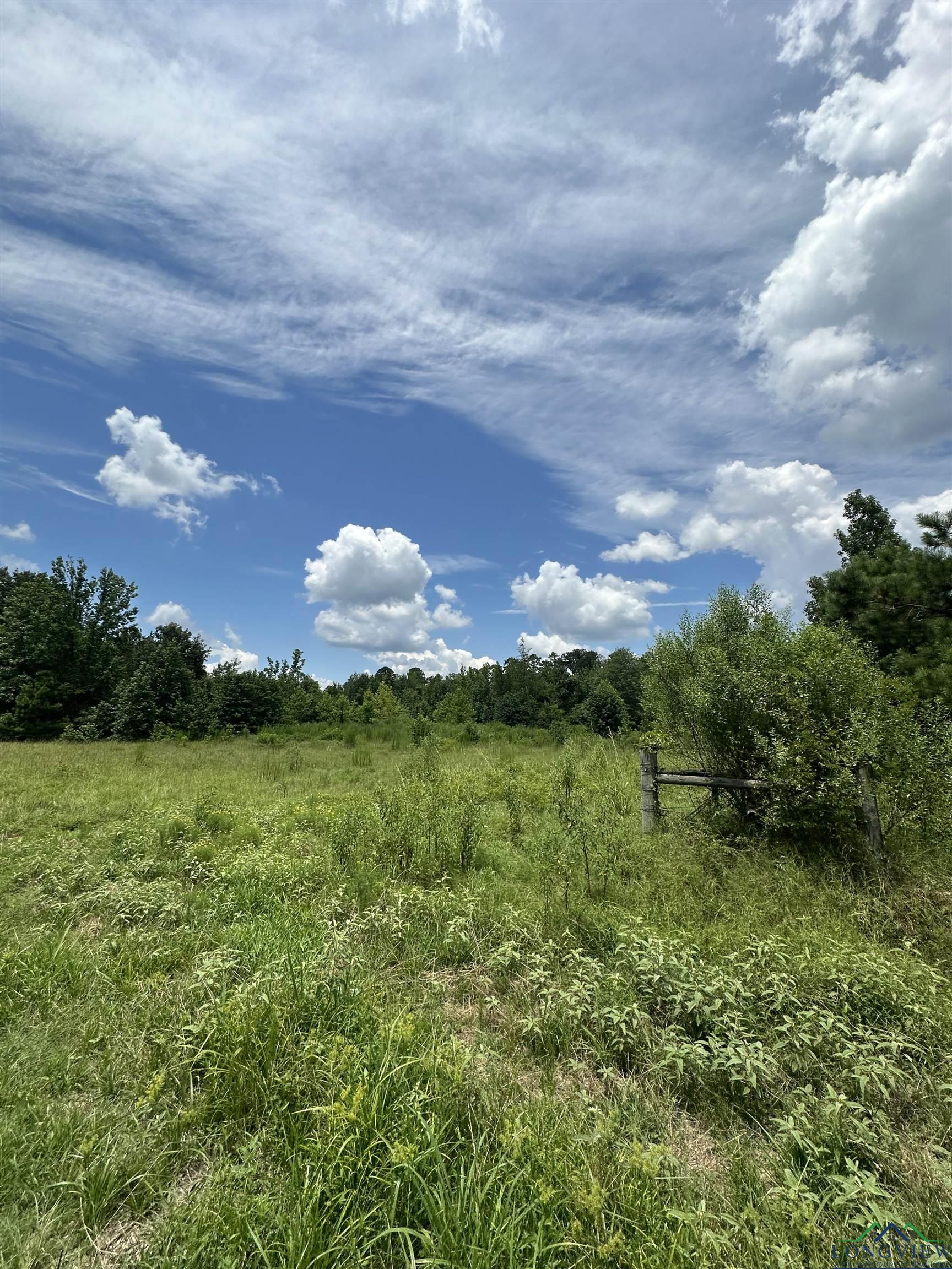 TBD Us Hwy 59, Marshall, Texas image 7