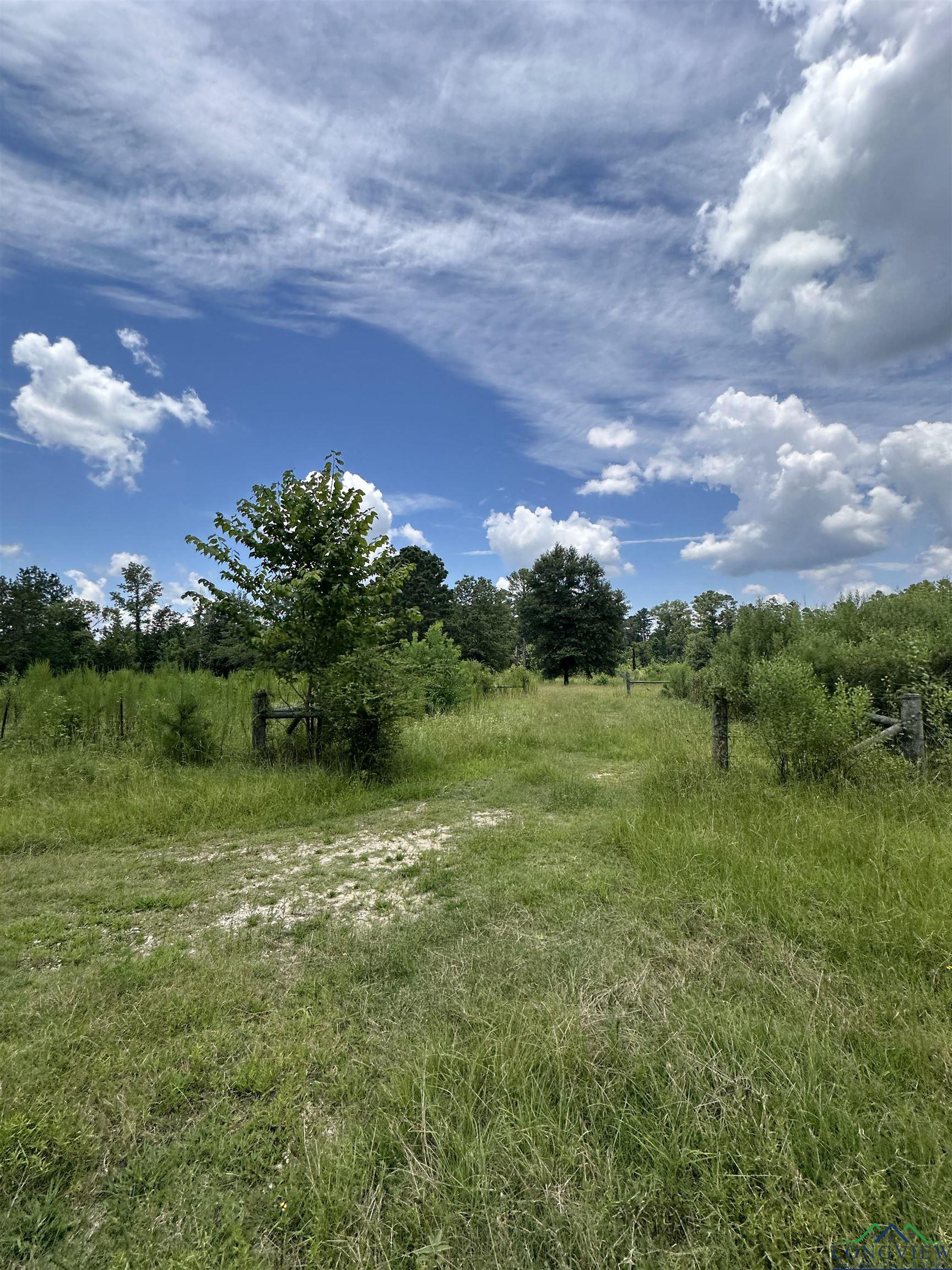 TBD Us Hwy 59, Marshall, Texas image 6