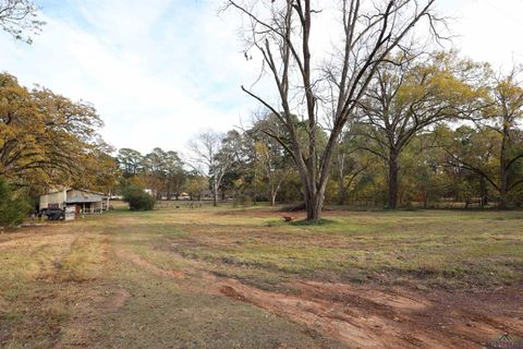 A home in Big Sandy