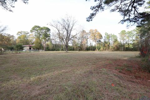 A home in Big Sandy