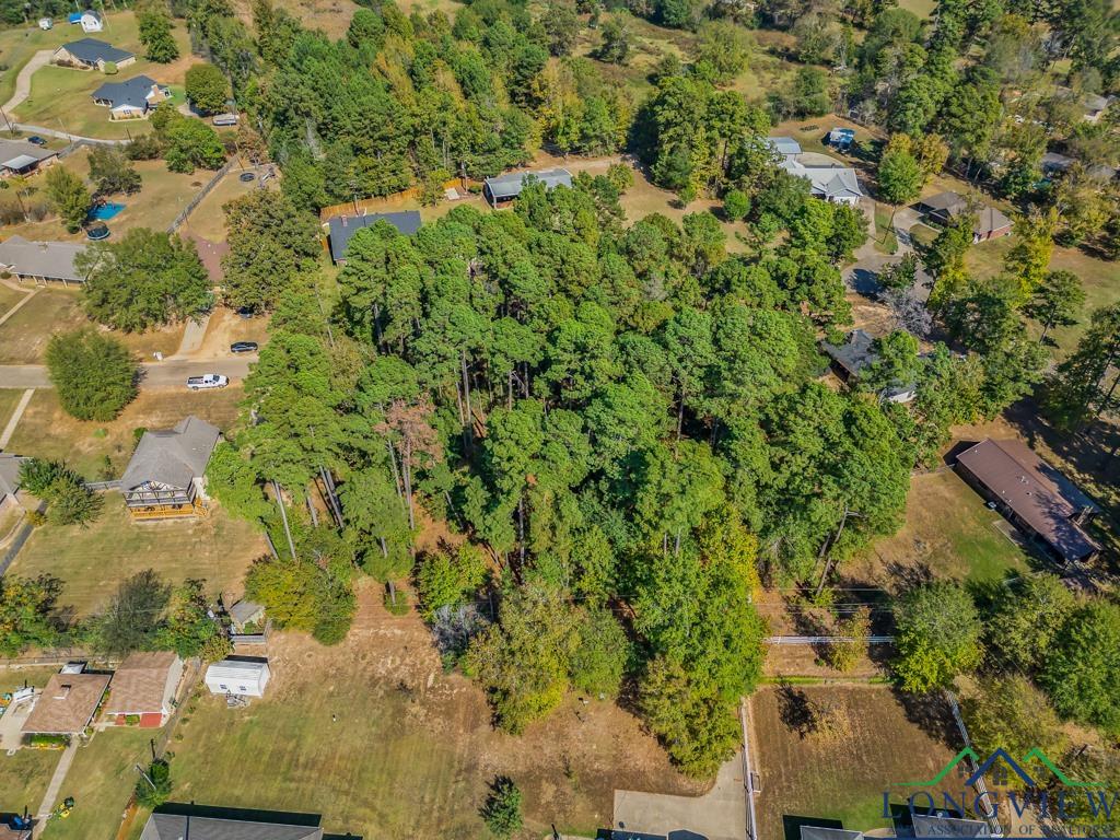 TBD Bob White Drive, Gilmer, Texas image 10