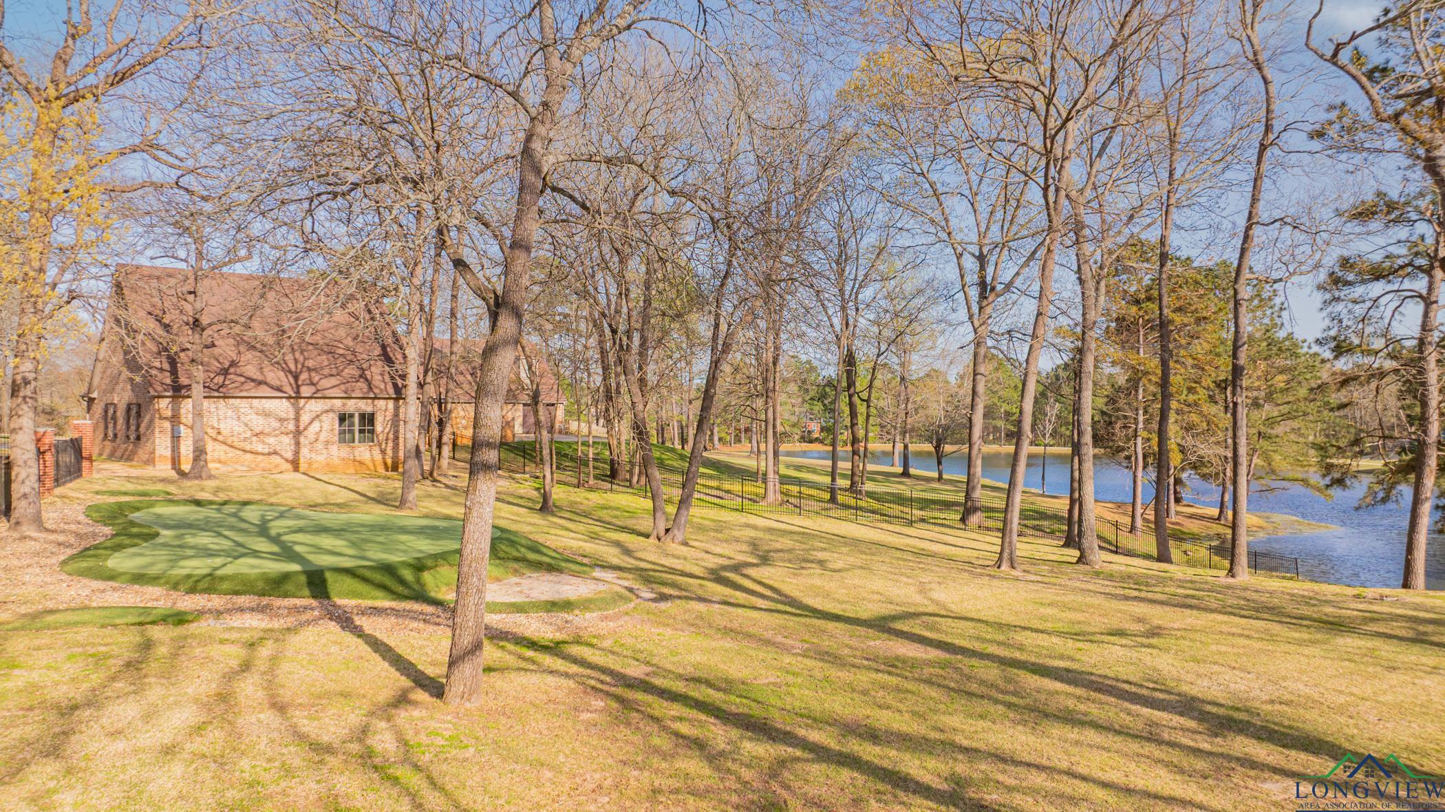 4310 Thistlebrook Lane, Longview, New Mexico image 46