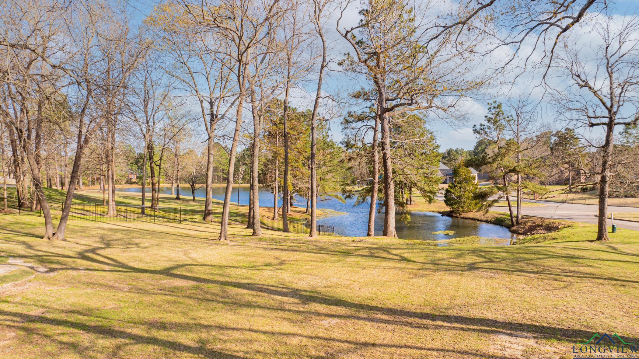 4310 Thistlebrook Lane, Longview, New Mexico image 47