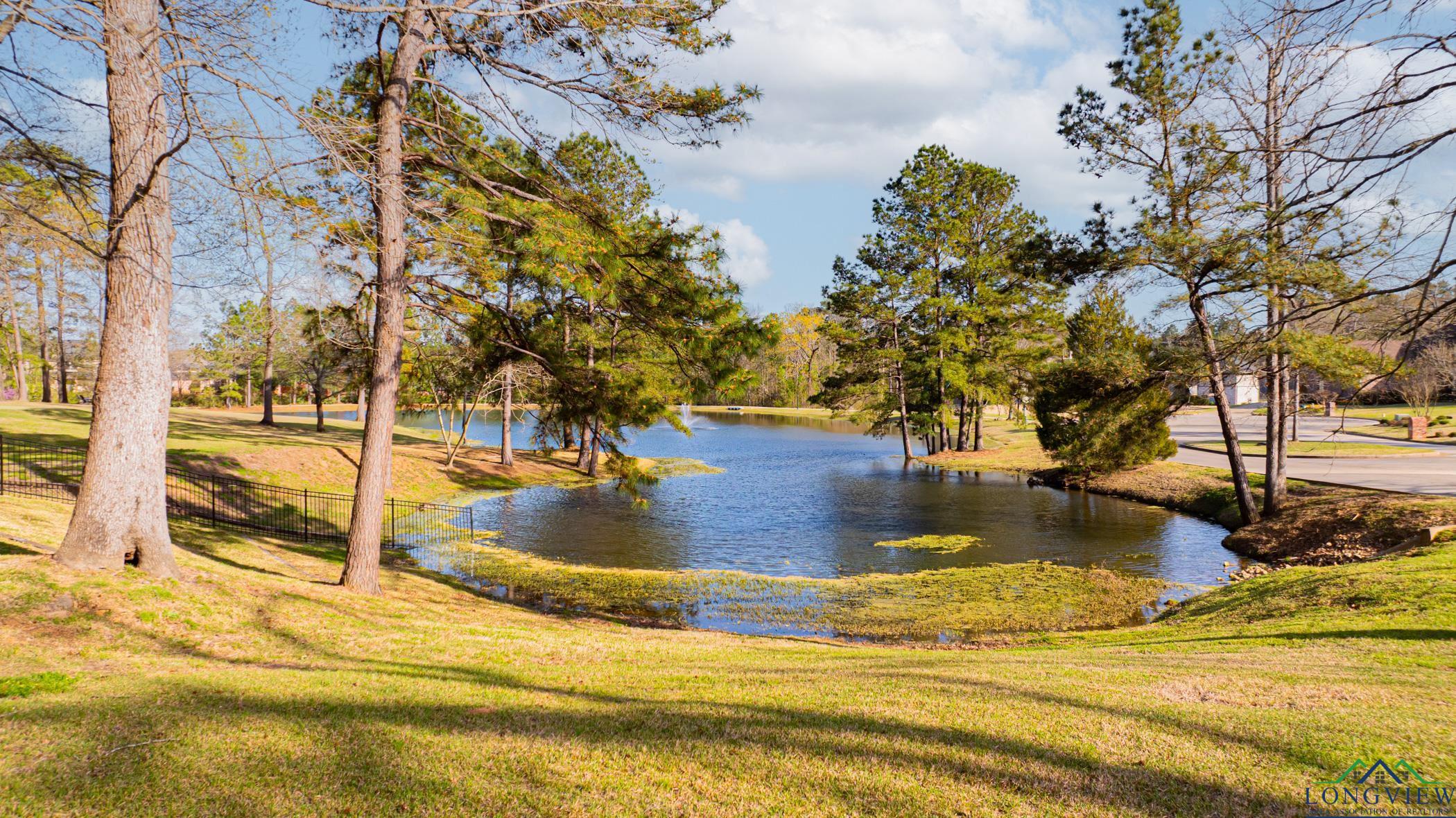 4310 Thistlebrook Lane, Longview, New Mexico image 42