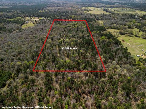 Vacant Land For Sale - 30 AC TBD E Hwy 49<br/> Jefferson, TX 75657