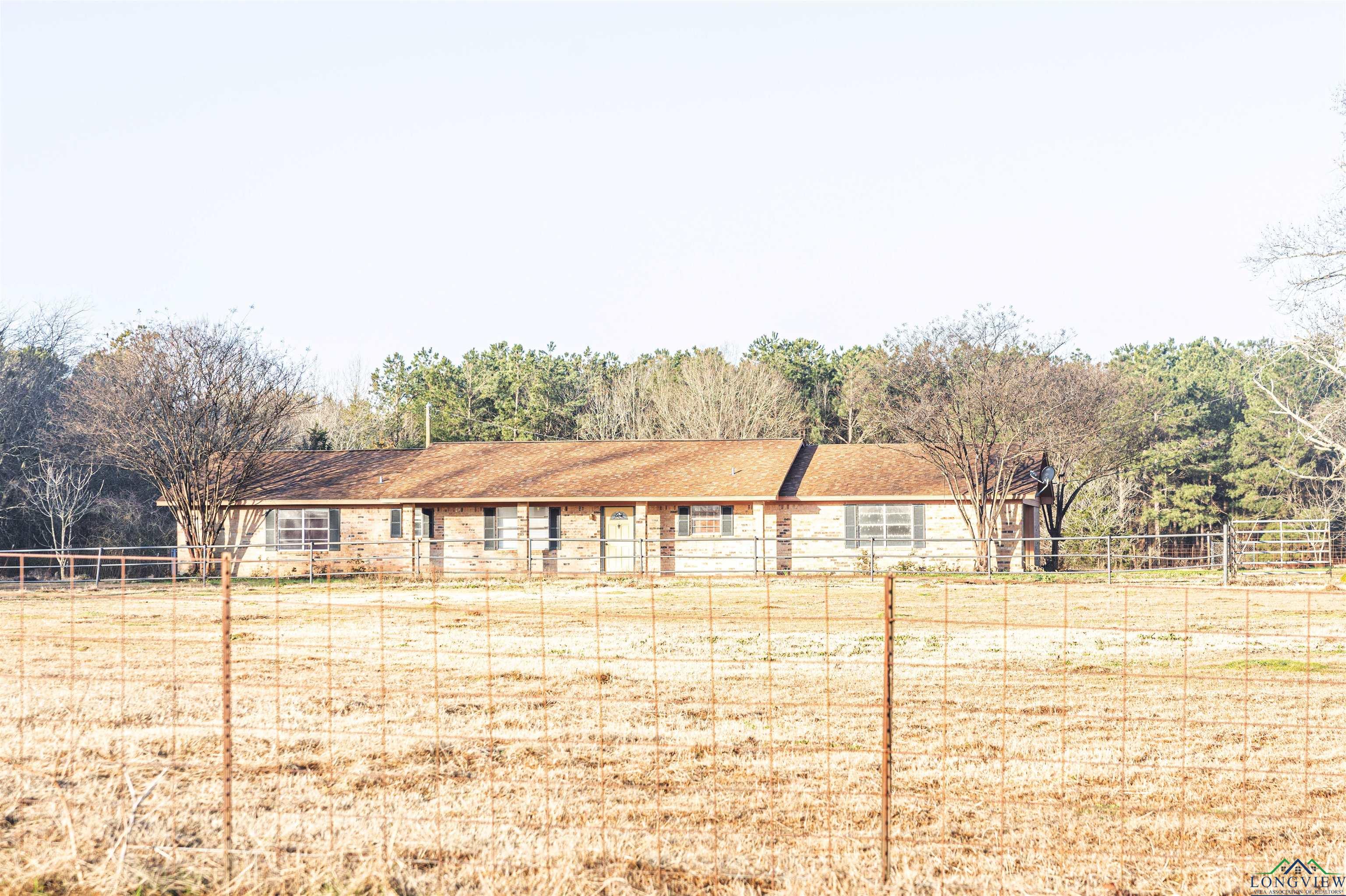 599 Cr 4206, Daingerfield, Texas image 1
