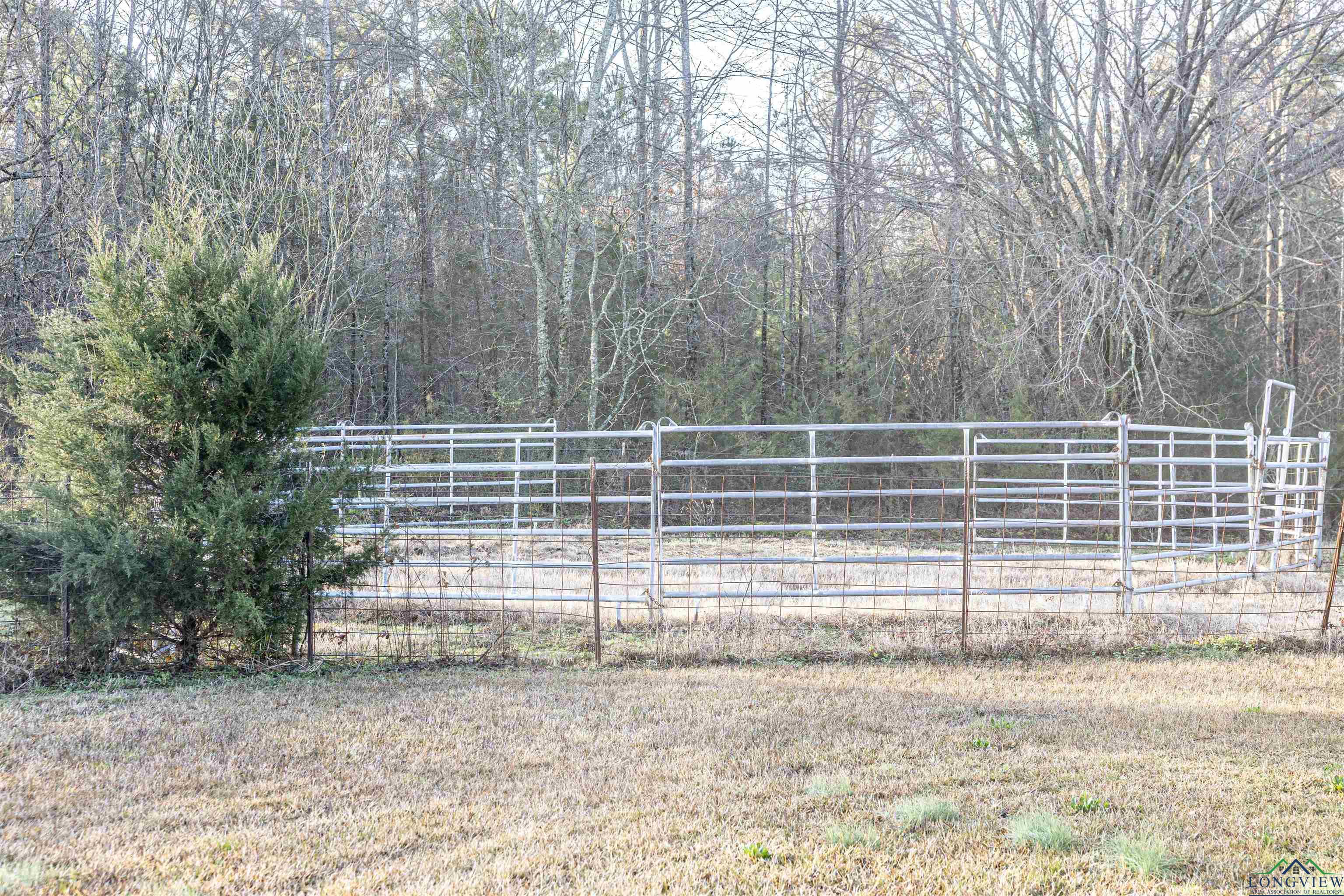 599 Cr 4206, Daingerfield, Texas image 31