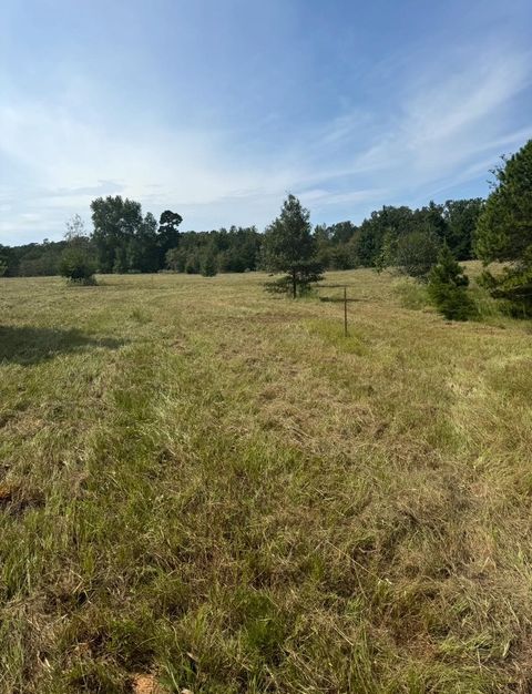 Vacant Land For Sale - 1258 Brown Rd<br/> Upshur County, Big Sandy, TX 75755