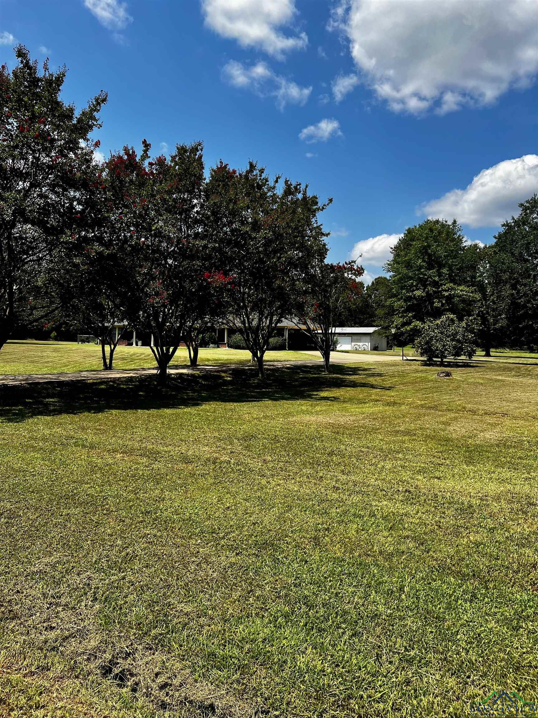 2351 Waldrons Ferry Road, Hallsville, Texas image 38