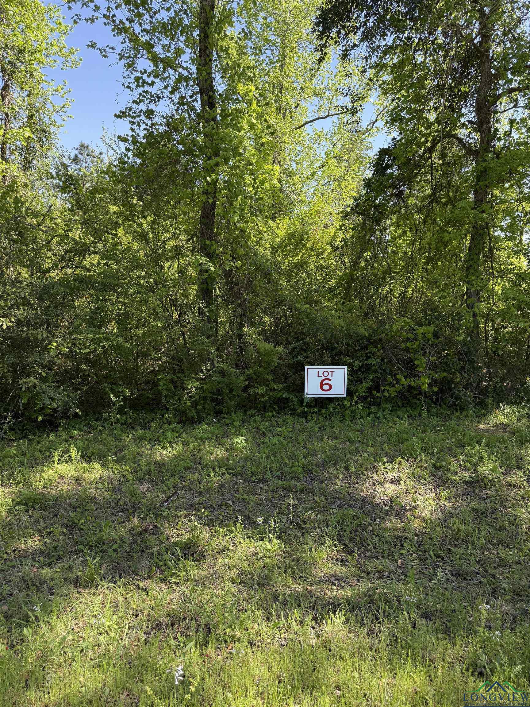 TBD LOT 6 S Fm 839, Henderson, Texas image 1
