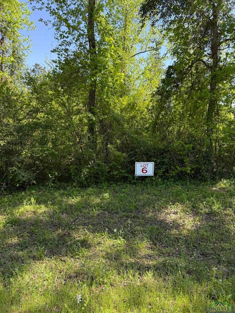 Vacant Land For Sale - TBD LOT 6 S Fm 839<br/> Rusk County, Henderson, TX 75652