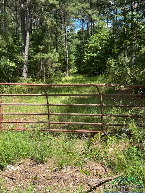 Vacant Land For Sale - TBD W Liberty Road<br/> Harrison County, Harleton, TX 75651