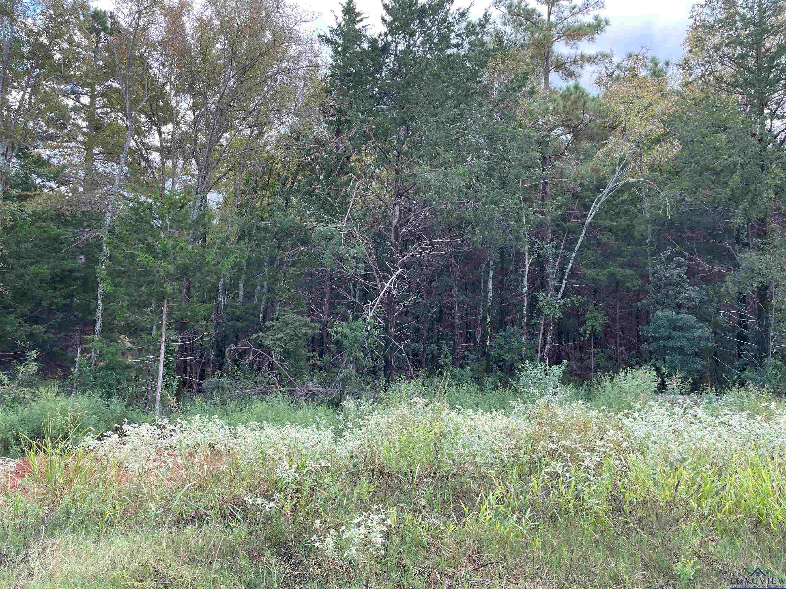 19461 Cedarpark Place Lot 23, Lindale, Texas image 1