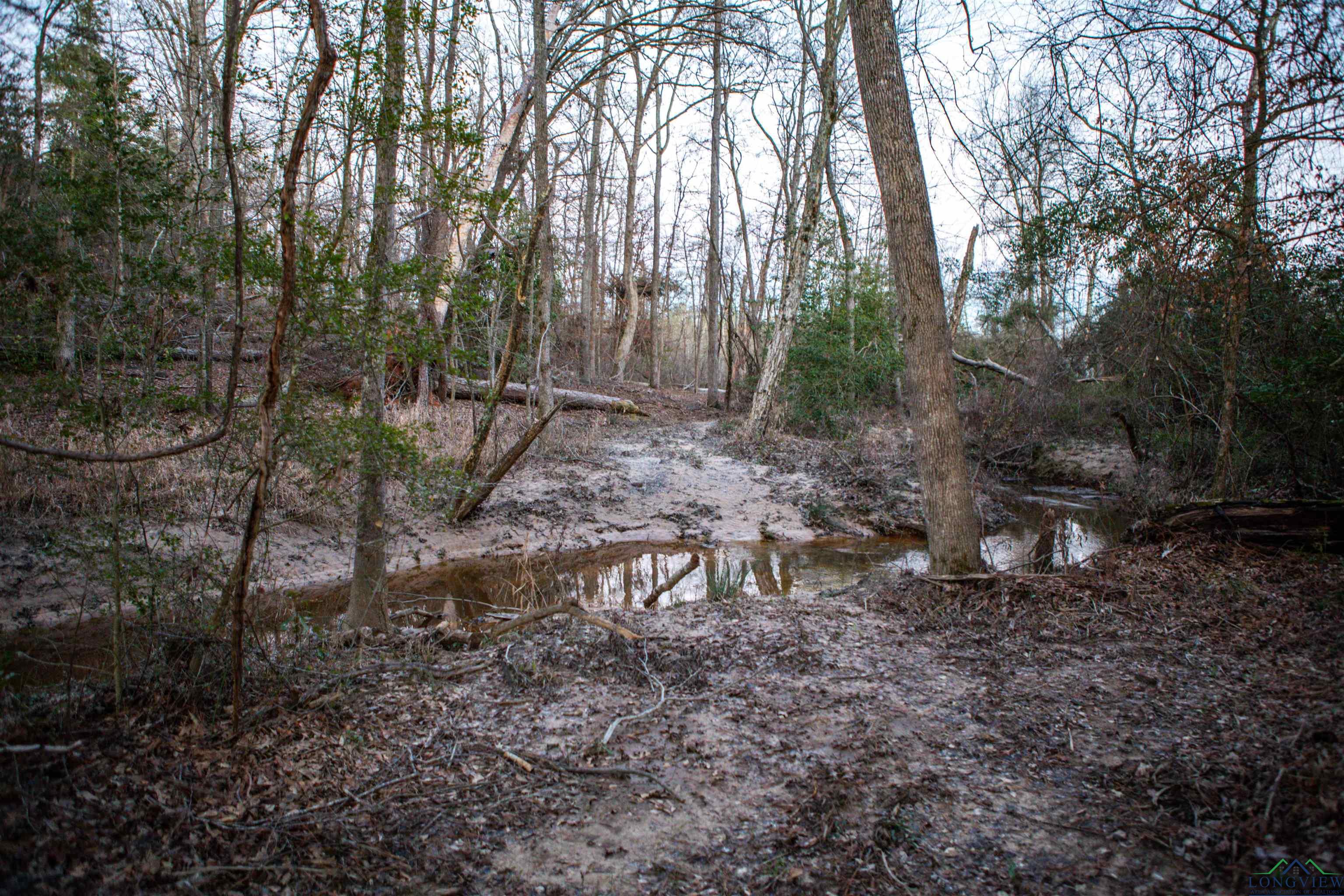 Cr 222, Henderson, Texas image 7