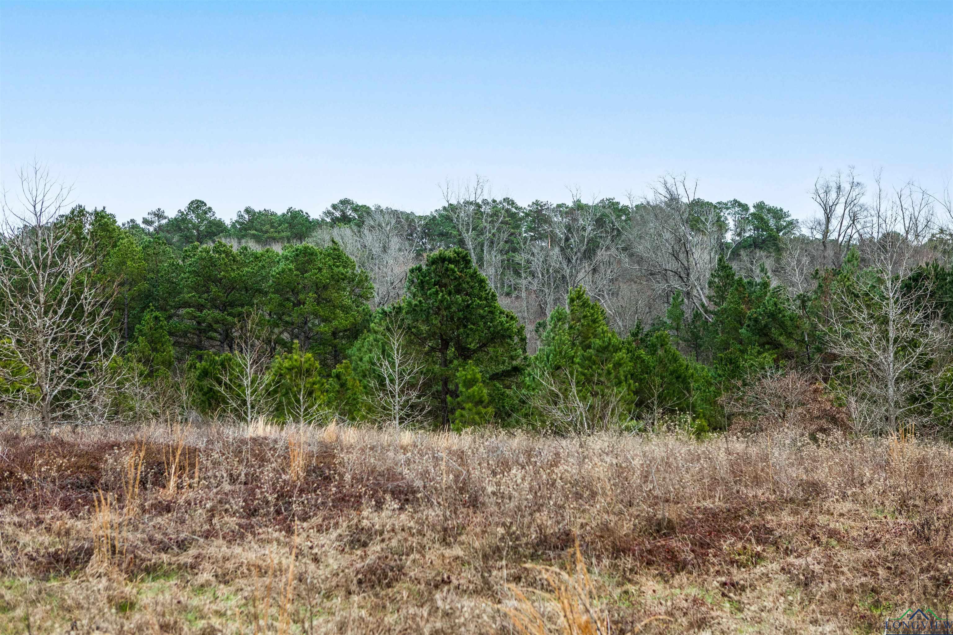 Cr 222, Henderson, Texas image 9