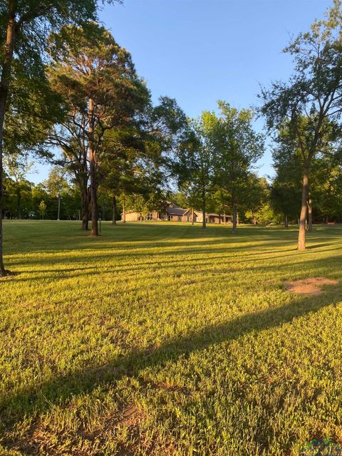 A home in Winnsboro