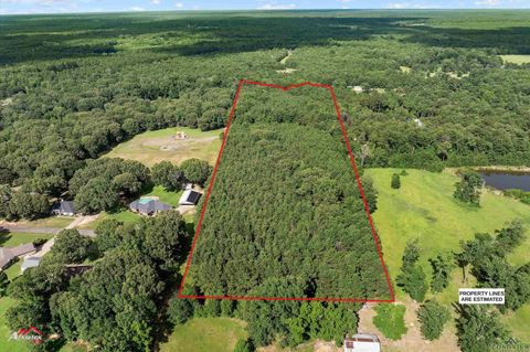 Vacant Land For Sale - TBD Hays Rd<br/> Harrison County, Marshall, TX 75672