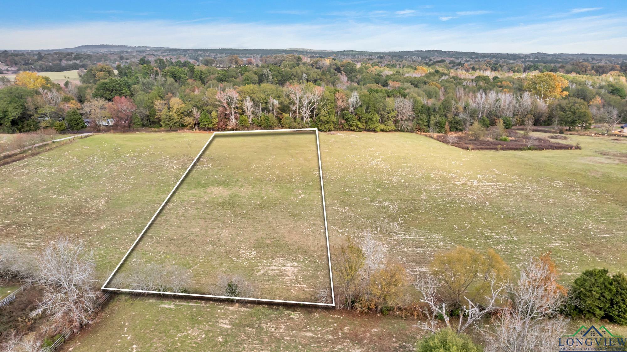 TBD Bob O Link Rd, Gilmer, Texas image 1