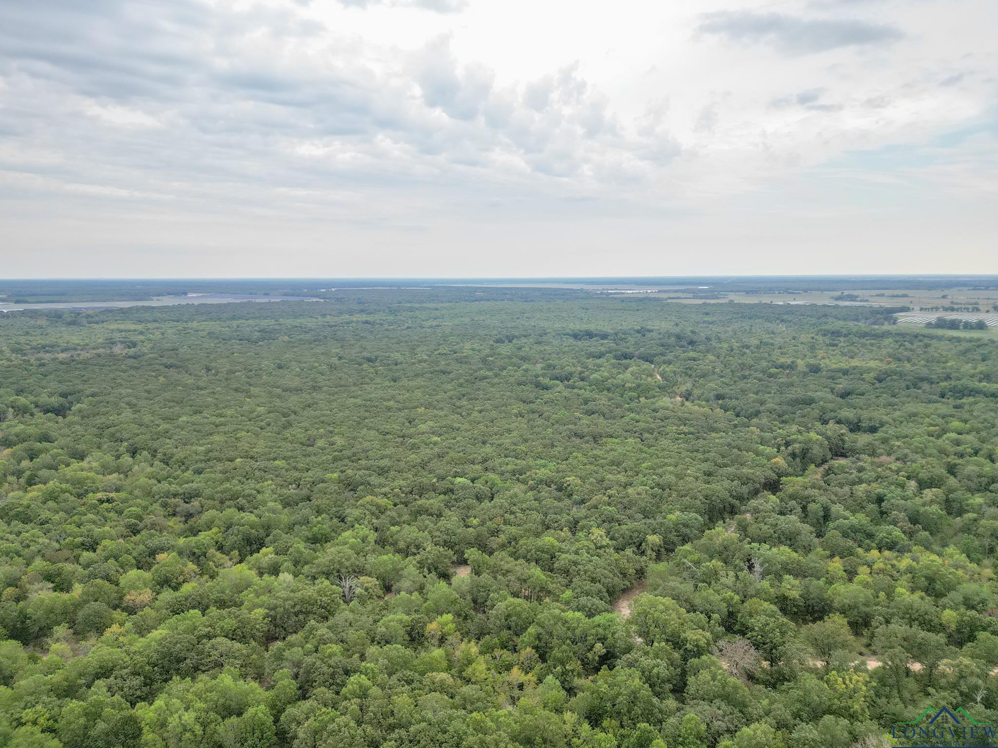 TBD Cr 16150, Deport, Ohio image 3