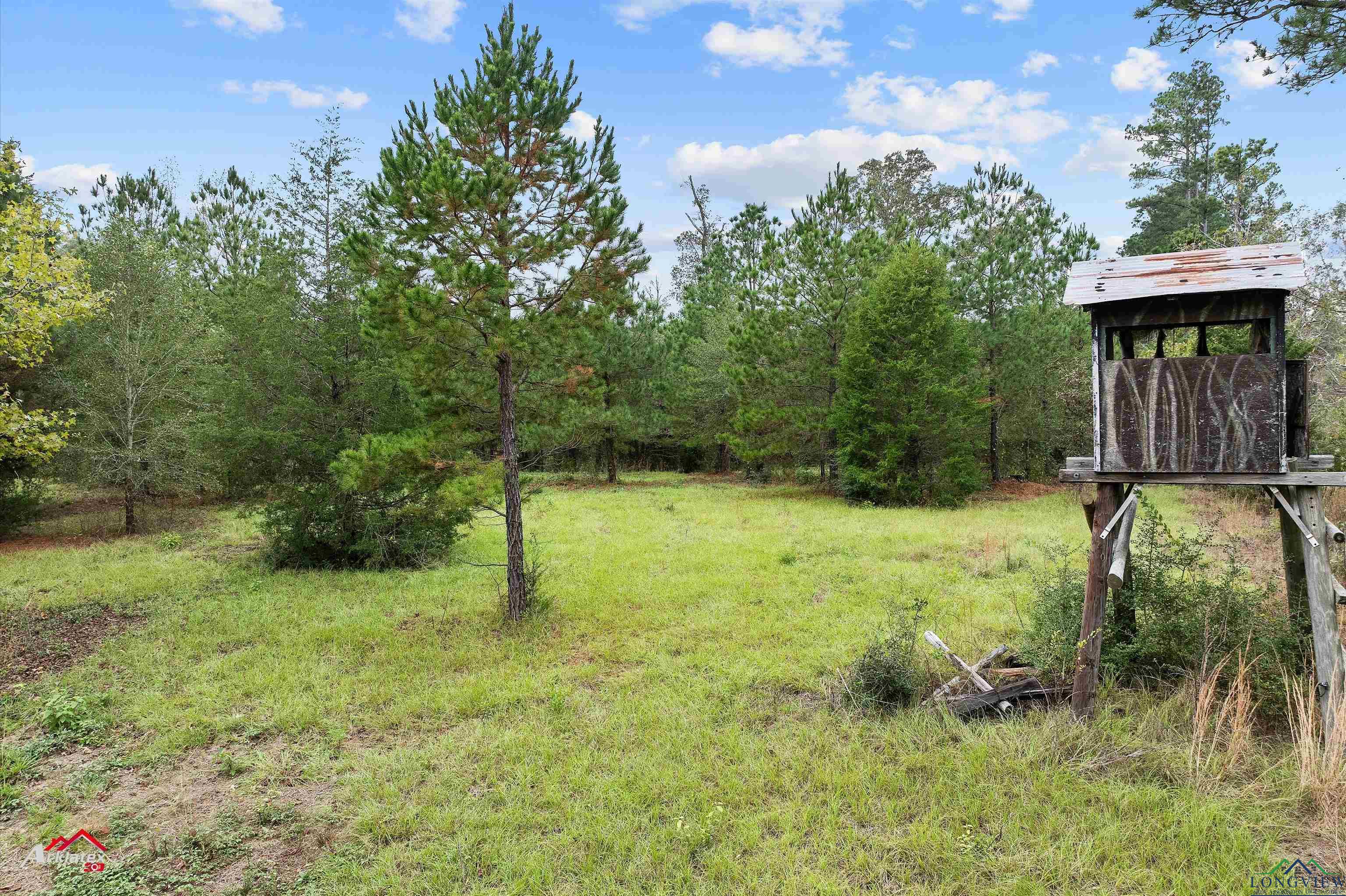 6332 Cr 272 North, Henderson, Texas image 30