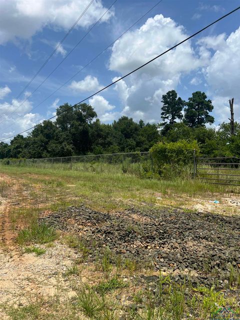 Vacant Land For Sale - TBD Loop 500<br/> Shelby County, Center, TX 75935