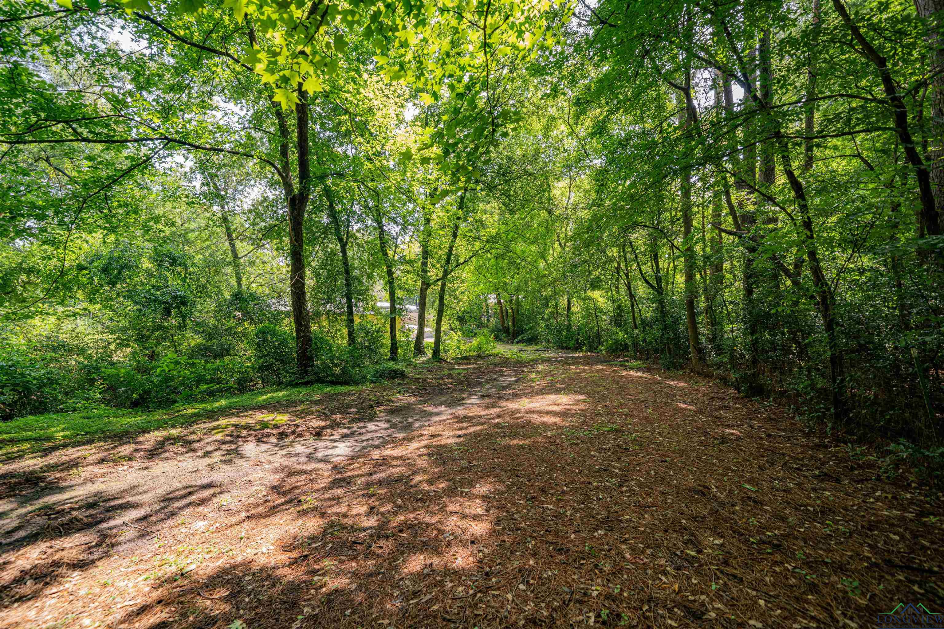 4525 Surratt Rd, Longview, Texas image 34