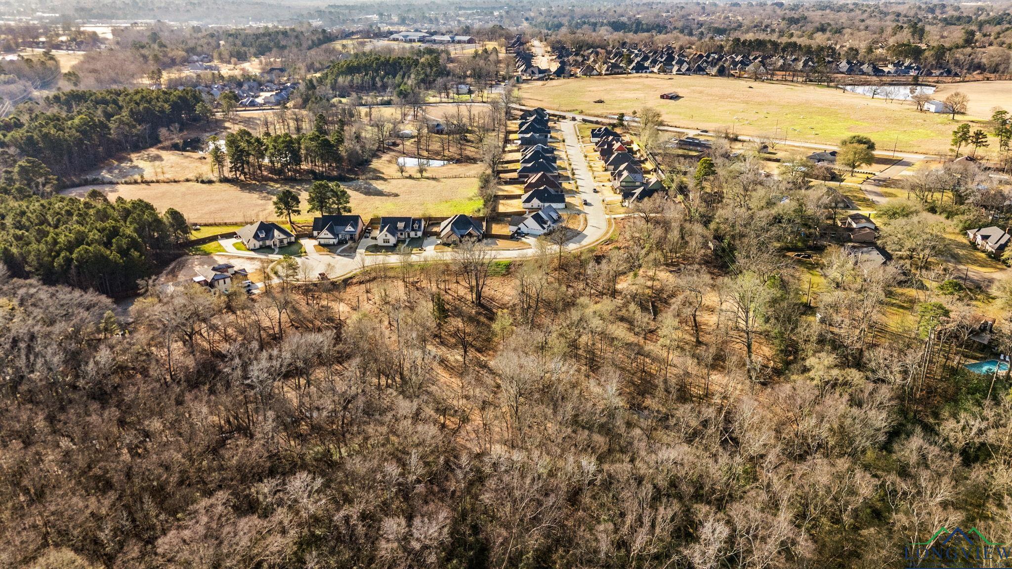 4229 Savannah Hills Ln (lot 14) Ln, Longview, California image 9
