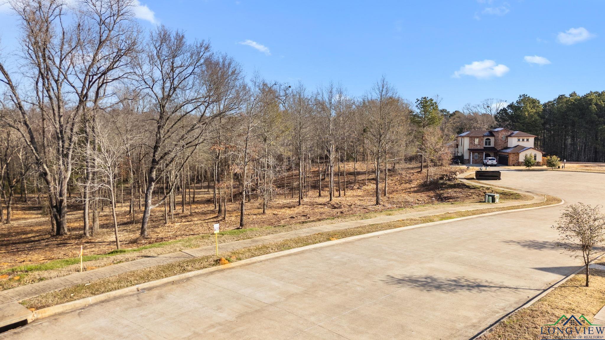 4229 Savannah Hills Ln (lot 14) Ln, Longview, California image 7