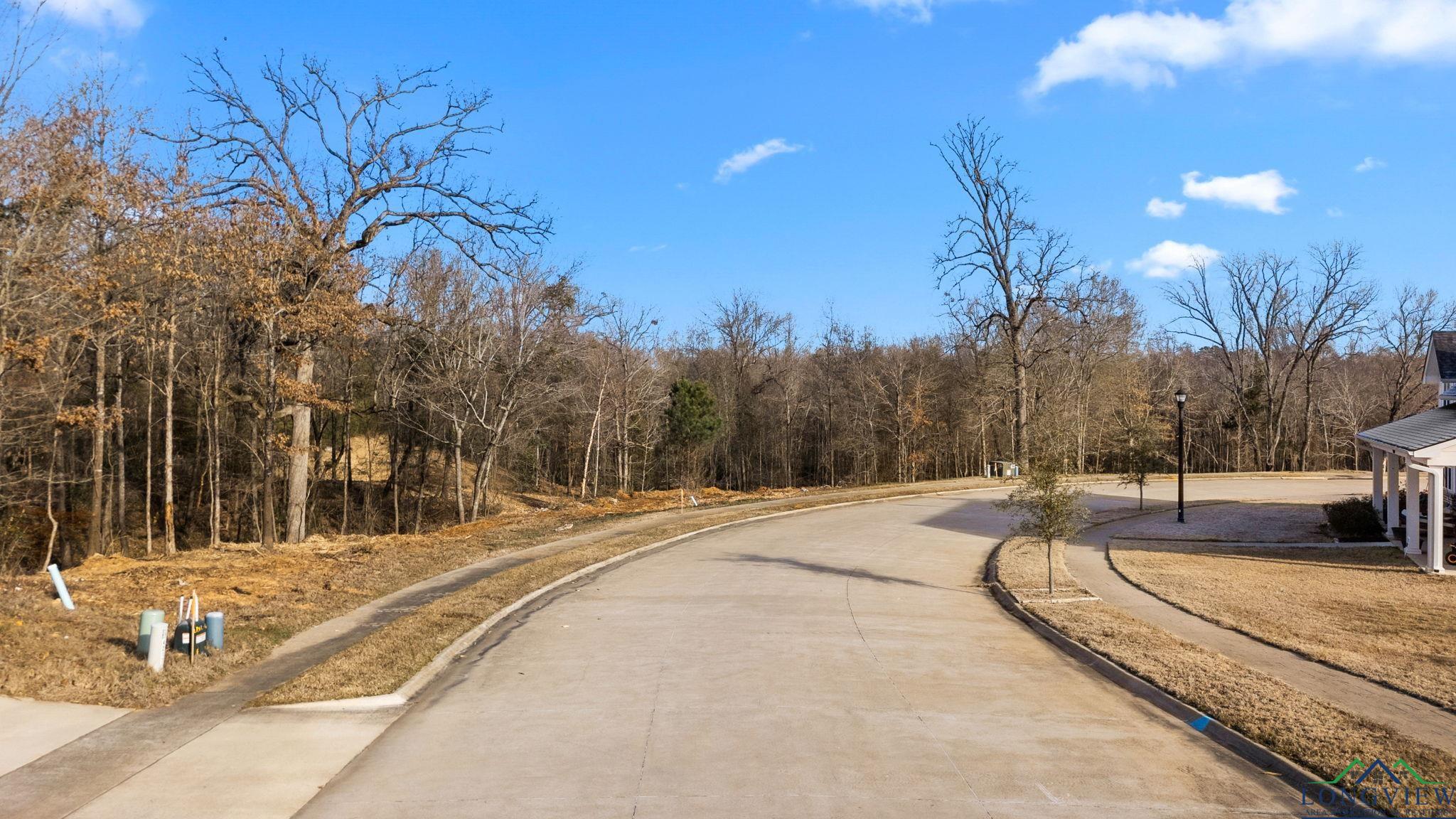 4229 Savannah Hills Ln (lot 14) Ln, Longview, California image 5