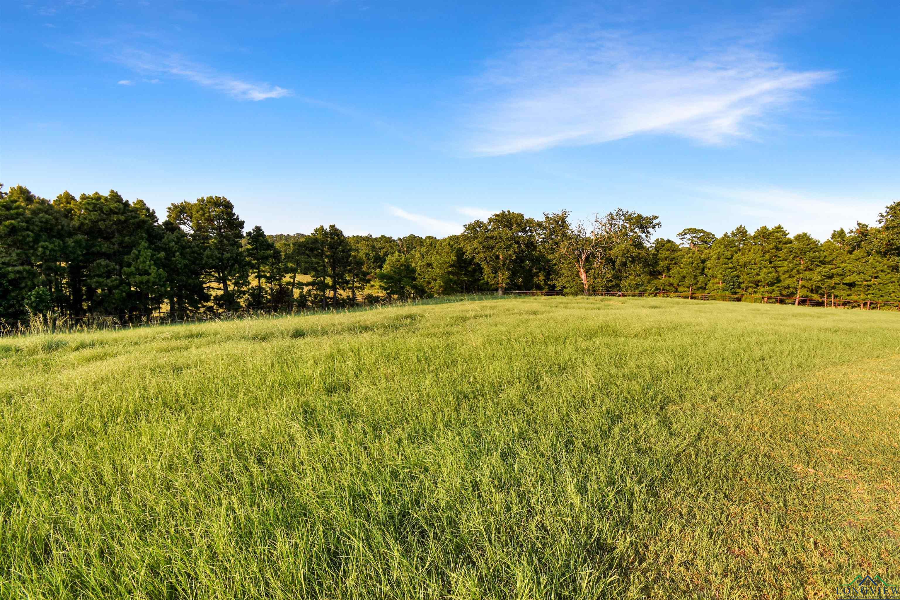 13096 Honey Poo Lane, Brownsboro, Texas image 43