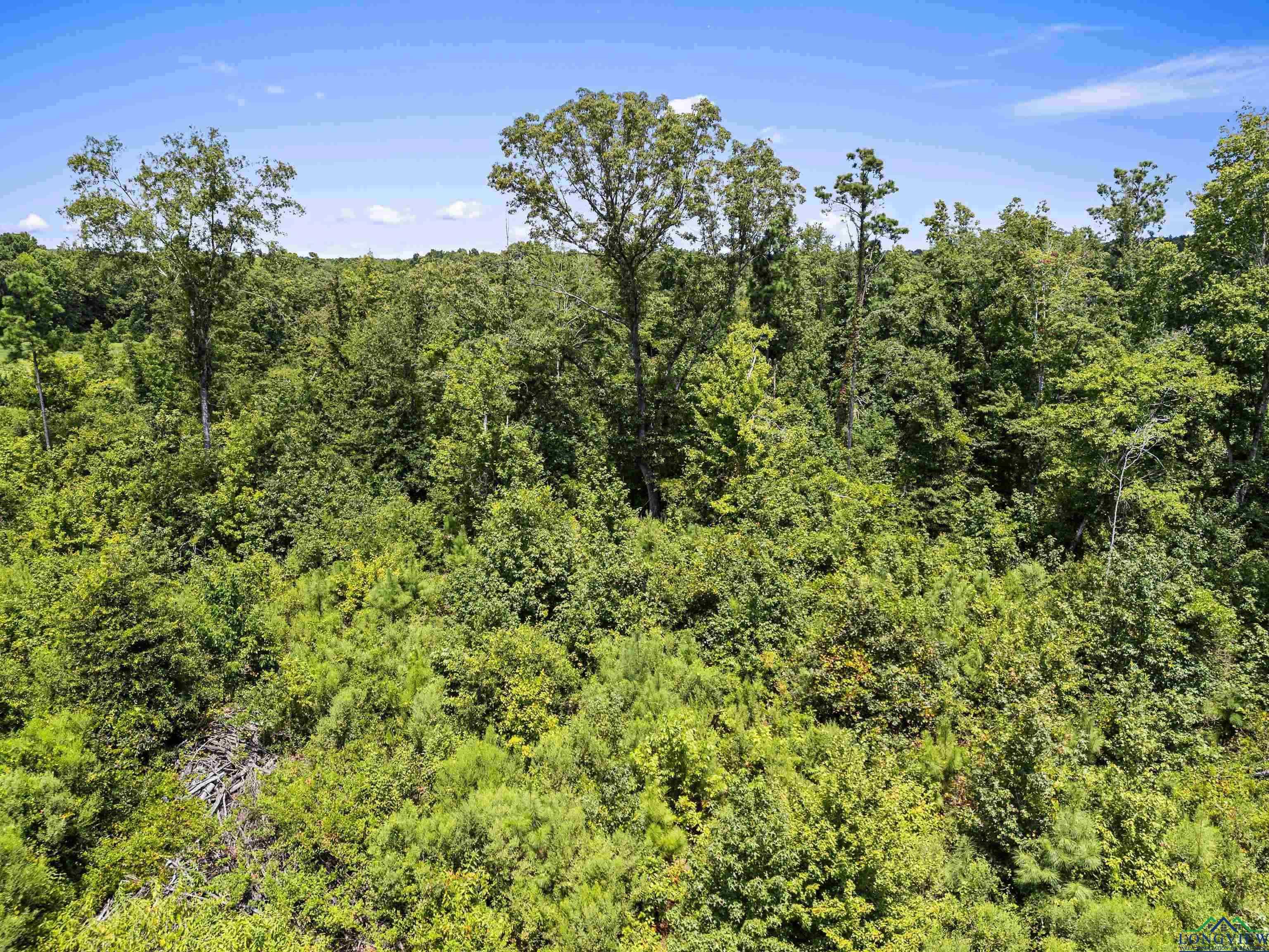 TBD E Hwy 154 Avenue, Marshall, Texas image 9