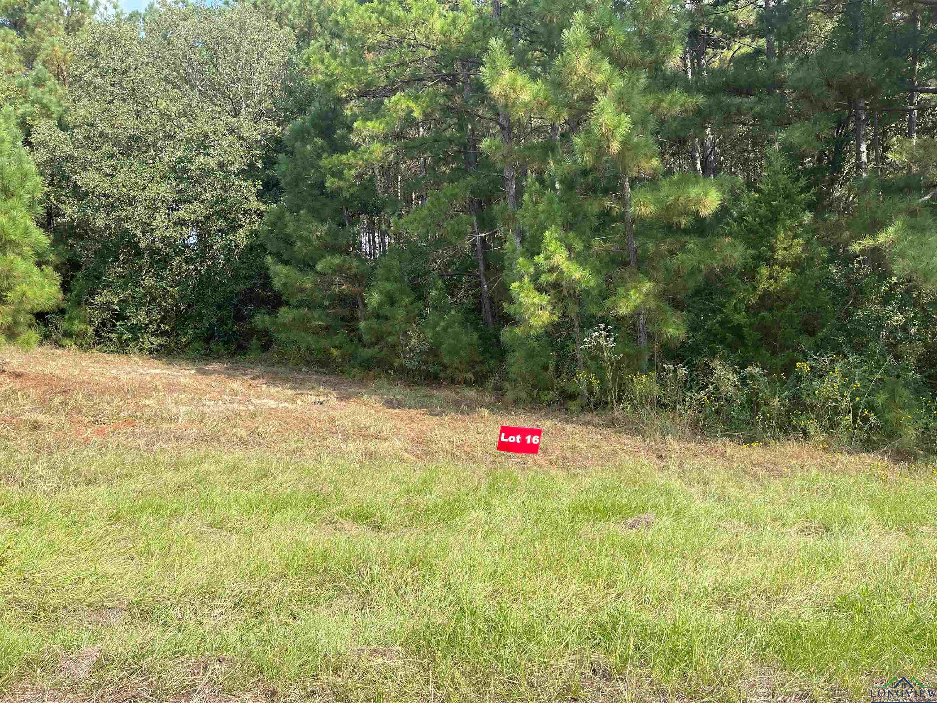 TBD Lot 16 Cr 2204 D & Fm 1797, Tatum, Texas image 1