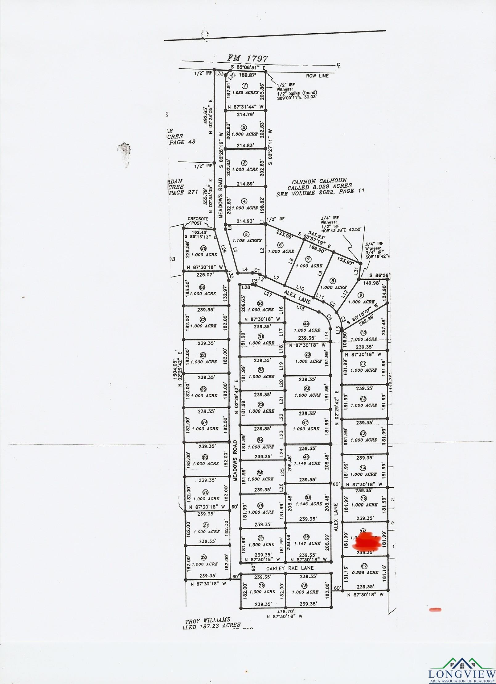 TBD Lot 16 Cr 2204 D & Fm 1797, Tatum, Texas image 2