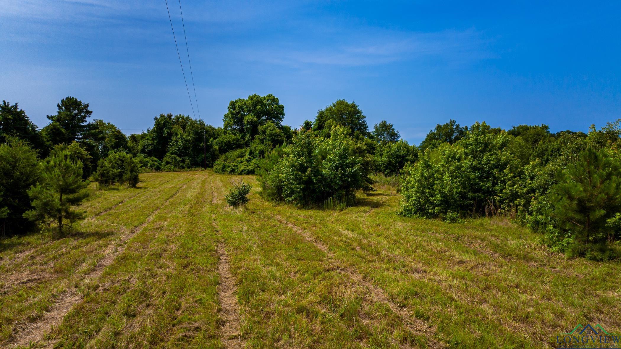 TBD Cr 2747, Hughes Springs, Texas image 17