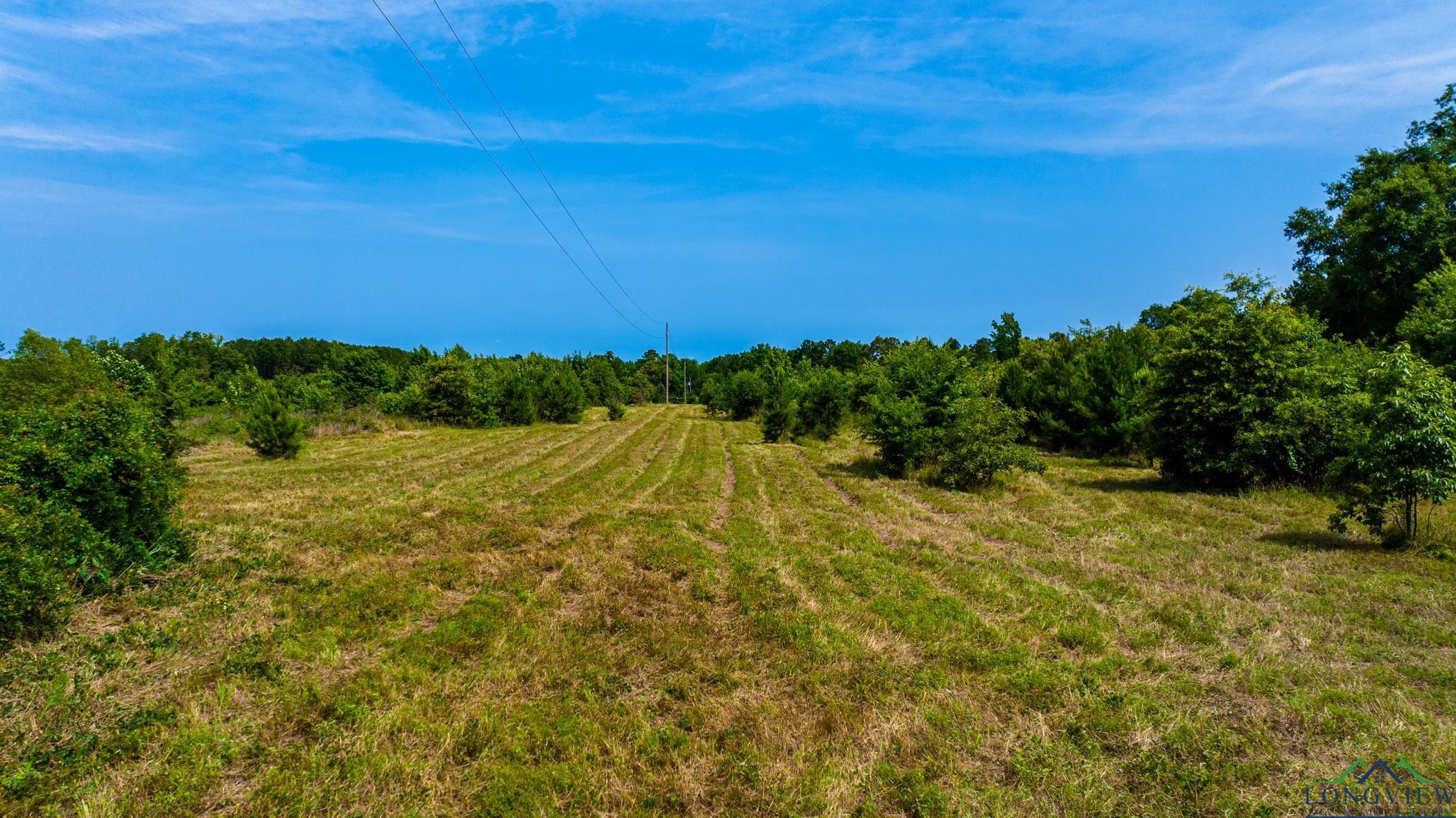 TBD Cr 2747, Hughes Springs, Texas image 12