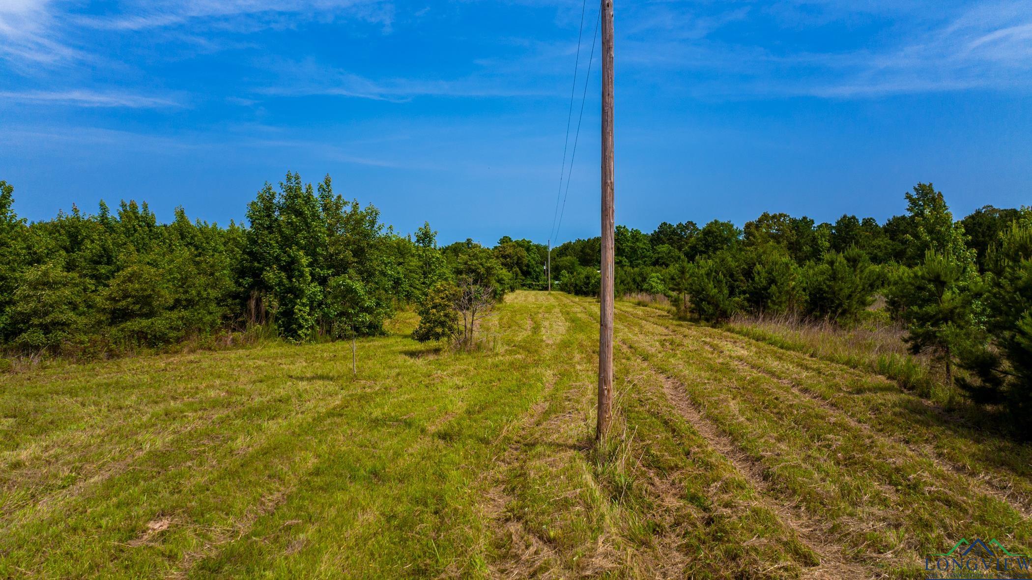 TBD Cr 2747, Hughes Springs, Texas image 16