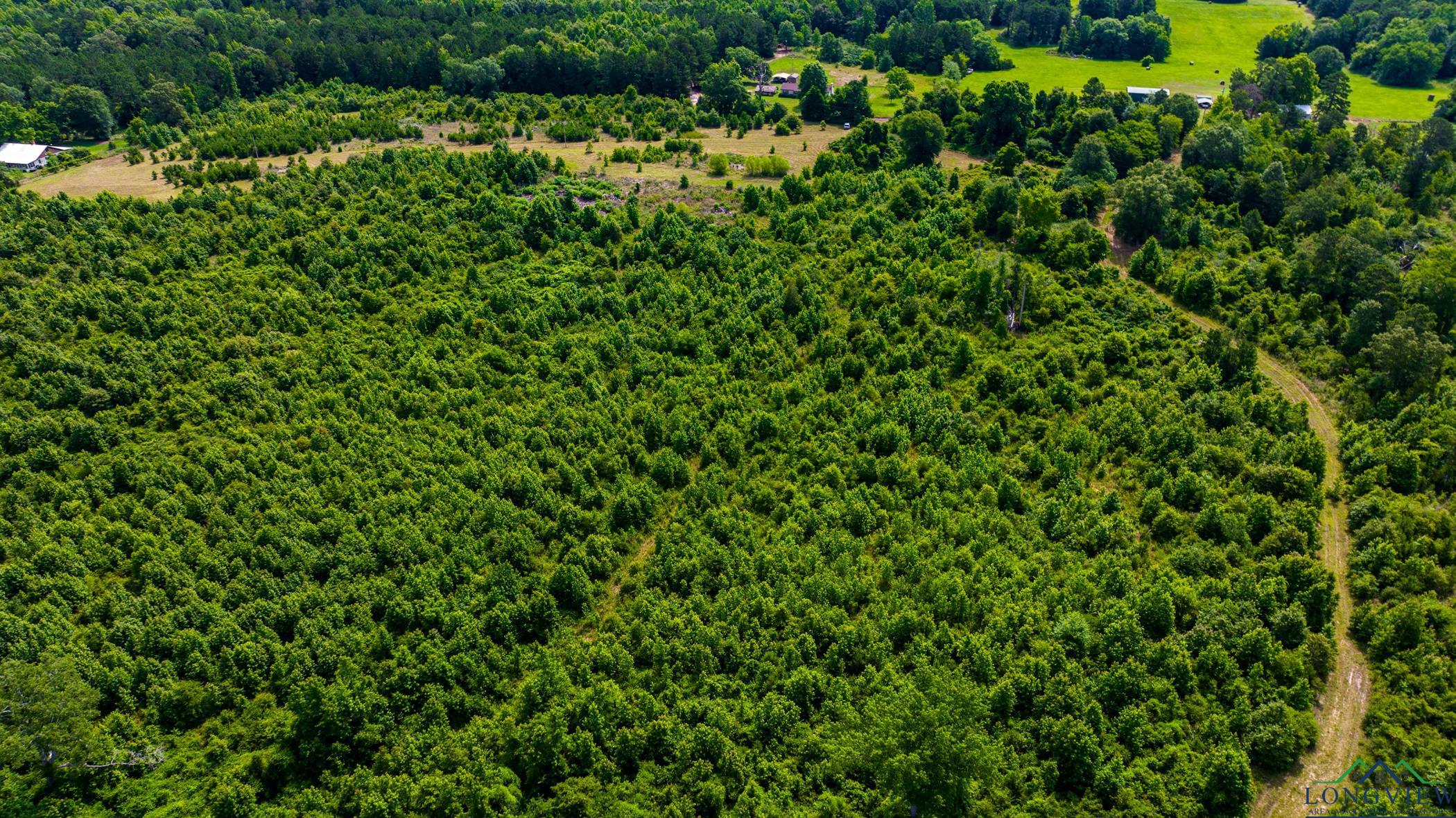 TBD Cr 2747, Hughes Springs, Texas image 28