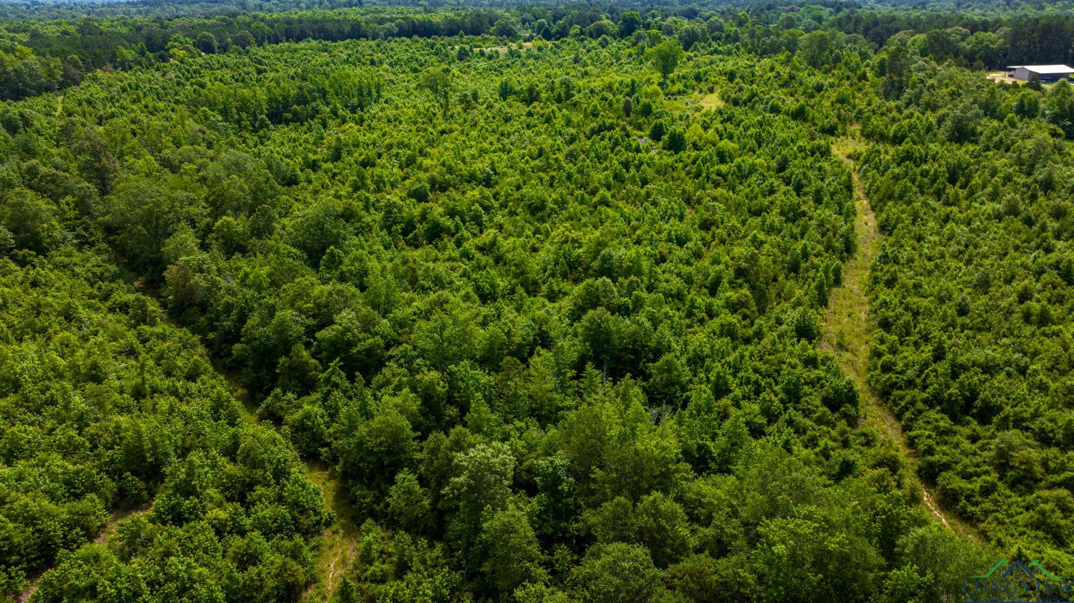 TBD Cr 2747, Hughes Springs, Texas image 26