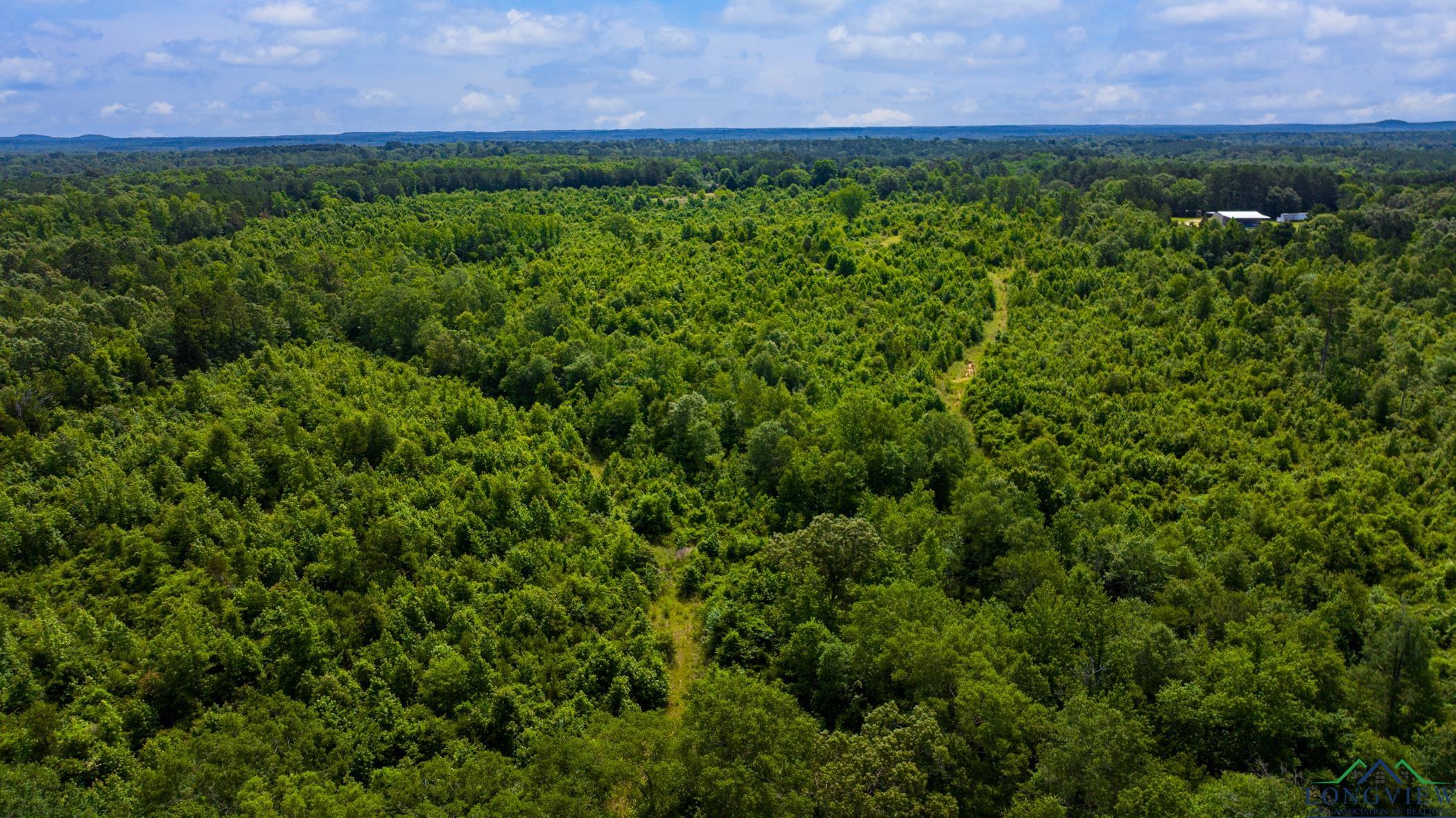 TBD Cr 2747, Hughes Springs, Texas image 25