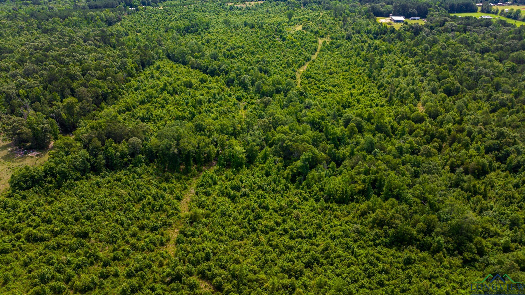 TBD Cr 2747, Hughes Springs, Texas image 24